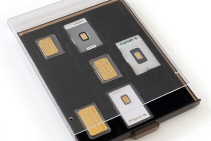 Münzbox mit 9 Fächern für Goldbarren